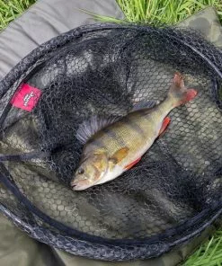 Fox Rage Street Fighter Carbon Street Net 2.4m -Pinces et ciseaux Soldes Magasin NLN014 5