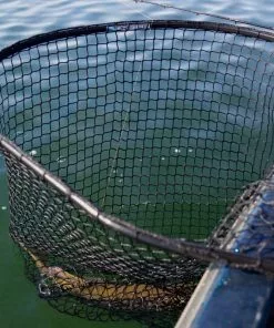 Drifter Tackle Predator Net 48 Black Handle -Pinces et ciseaux Soldes Magasin PR40XXL BKr 5