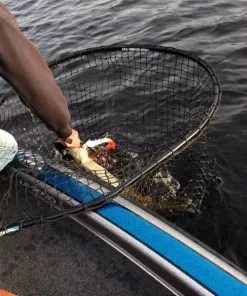 Drifter Tackle Predator Net 48 Black Handle -Pinces et ciseaux Soldes Magasin PR40XXL BKr 6